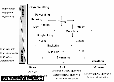 Chart: Olympic lifting vs marathon