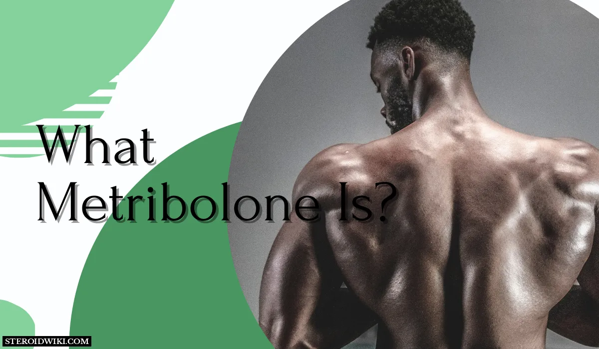 What is Metribolone?