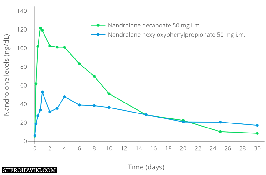 Nandrolone scale with a single 50mg Injection