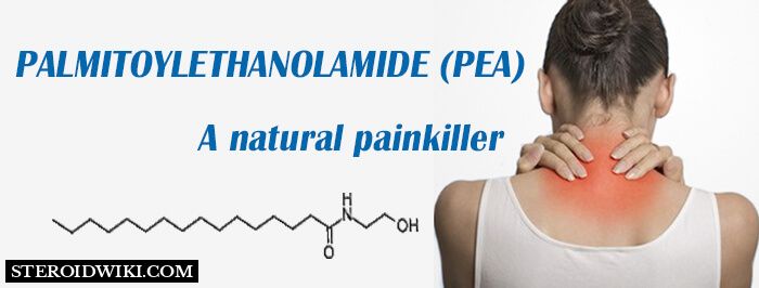 Palmitoylethanolamide (PEA) – The natural painkiller