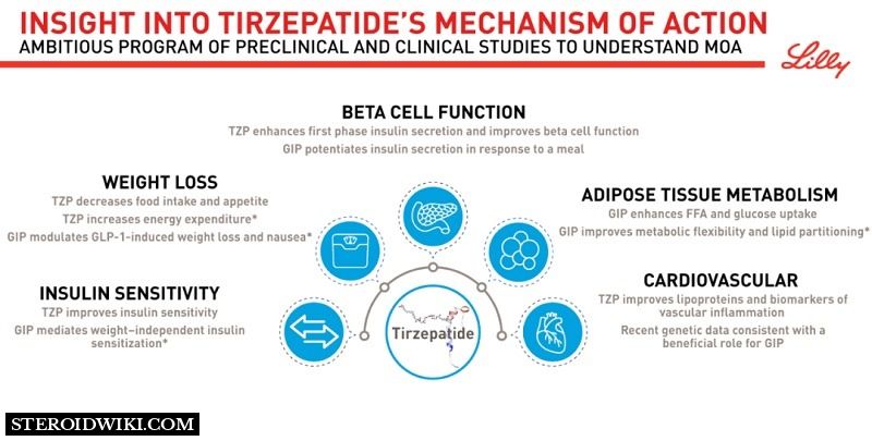 Tirzepatide – Mechanism of Action