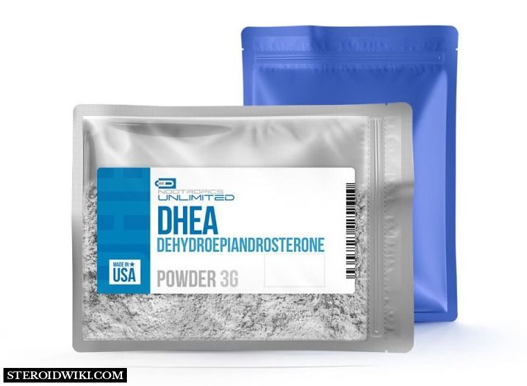 DHEA Powder