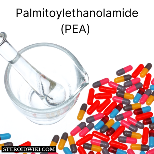 Palmitoylethanolamide (PEA) Dosage