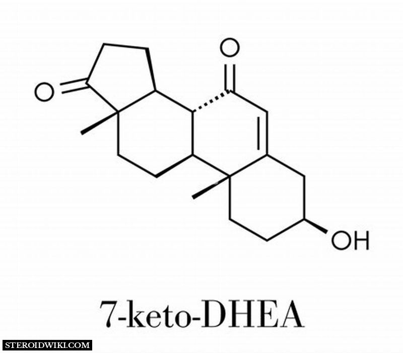 Structure of 7-Keto-DHEA 