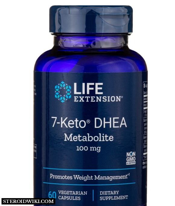 Vial containing 7-Keto-DHEA 