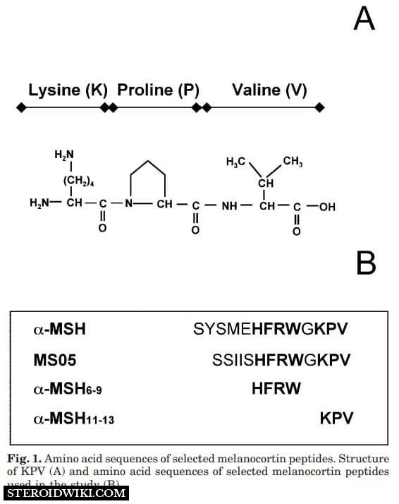 KPV (Lysine-Proline-Valine) Sequence