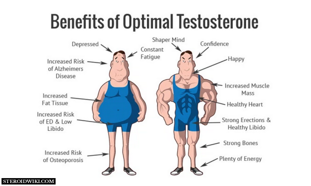 Benefits of Testosterone