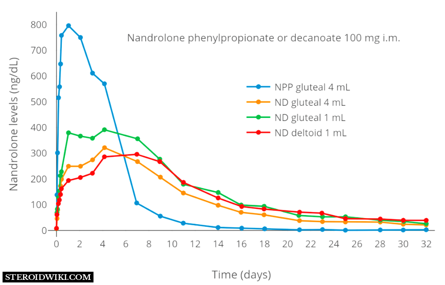 Nandrolone levels after a single 100-mg Injection