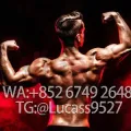 PeptidesSupply