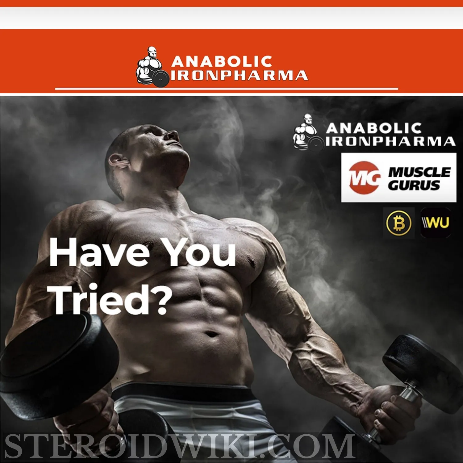 anabolic-ironpharma.com Logo