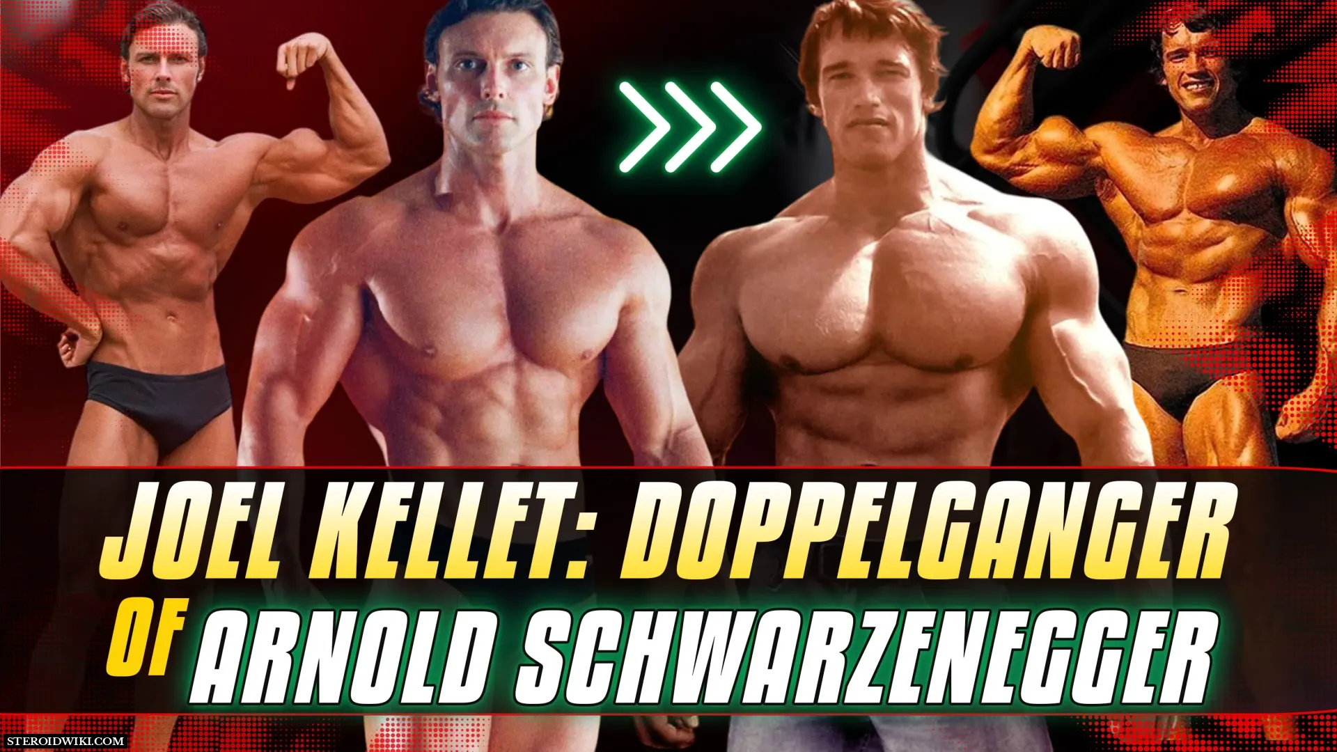 Who is the new Schwarzenegger?