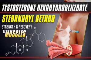 Sterandryl Retard Steroid Complete Profile