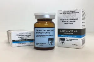 Testosterone Enanthate Steroid Profile