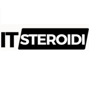 it-steroid.com