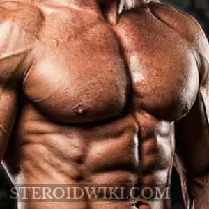 Jackedbeef
