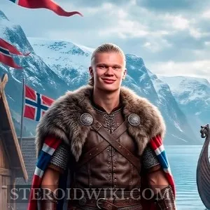 VikingAlicante