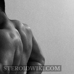 LazyP