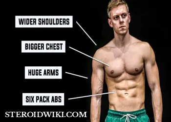 3 Tips for beginner bodybuilders