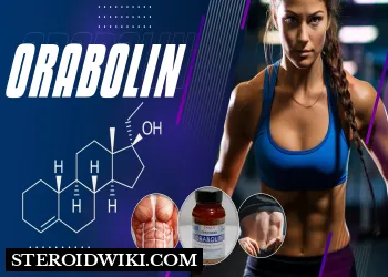 Orabolin (Ethylestrenol) Complete Steroid profile