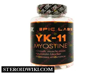 YK-11 (Myostine): Complete Profile, Dosage, Results, and Other Relevant Information