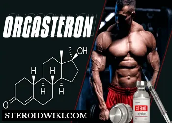 Orgasteron steroid profile