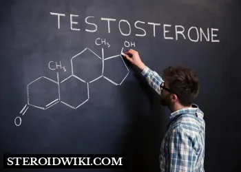 An Overview of Testosterone