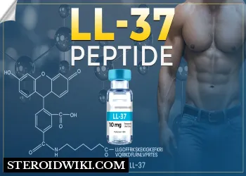 A comprehensive guide on LL-37 peptide