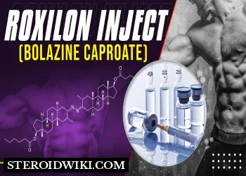 Roxilon Inject (Bolazine Caproate):  A comprehensive profile