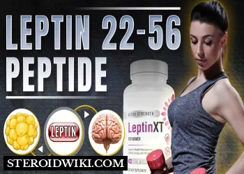 leptin 22-56 peptide: Understanding Leptin and Leptin Resistance