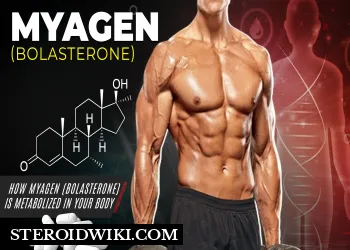 Myagen (Bolasterone) Complete Steroid Profile