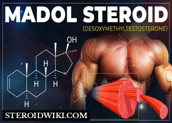 Madol (Desoxymethyltestosterone) Complete Steroid profile