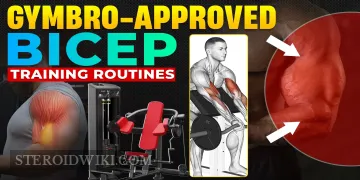 Gymbro-Approved Bicep Training Routines