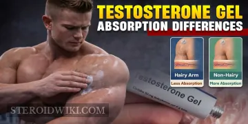 Testosterone Gel Absorption Differences