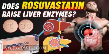 Does Rosuvastatin Raise Liver Enzymes?