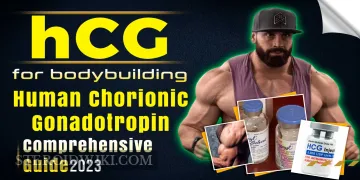 HCG Use for Bodybuilders &ndash; Complete Information 2023