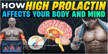 How High Prolactin Affects Your Body and Mind&nbsp;