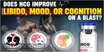 Does HCG Improve Libido, Mood, or Cognition on a Blast?