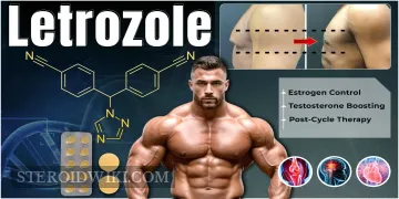 Letrozole: Uses, and, Dosage, Side Effects.