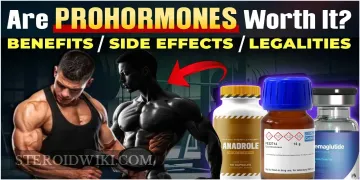 Prohormones Uncovered: Benefits, Risks, and Everything in Between