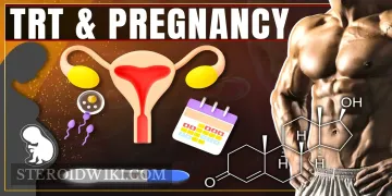 TRT and Pregnancy