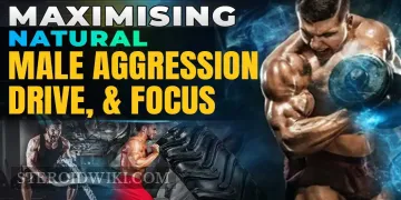 Strategic Male Drive: Science-Backed Aggression & Gym-Built Discipline