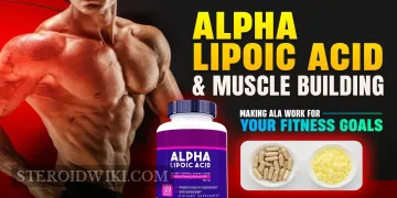 Alpha-Lipoic Acid (ALA) in Bodybuilding: Benefits, Uses, and Dosage