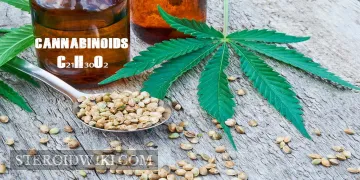 Should Bodybuilders take CBD?