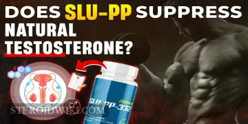 Does SLU-PP Suppress Natural Testosterone?