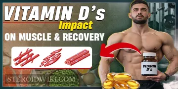 Vitamin D&rsquo;s Impact on Muscle and Recovery
