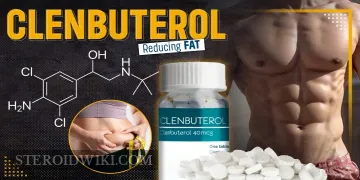 Clenbuterol - The Ultimate Fat Burner