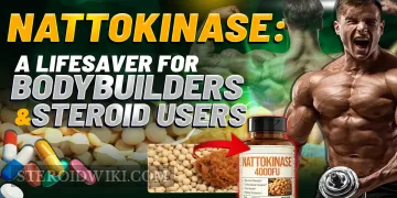 Nattokinase: A Lifesaver for Bodybuilders and Steroid Users