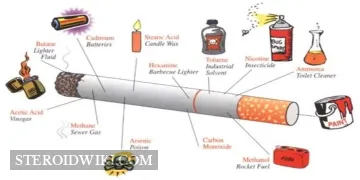 Bodybuilding vs Smoking
