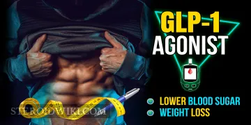 GLP-1 agonists : A Comprehensive Guide