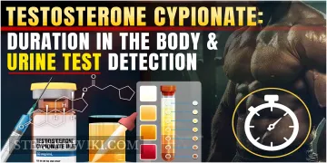 Testosterone Cypionate: Duration in the Body and Urine Test Detection
